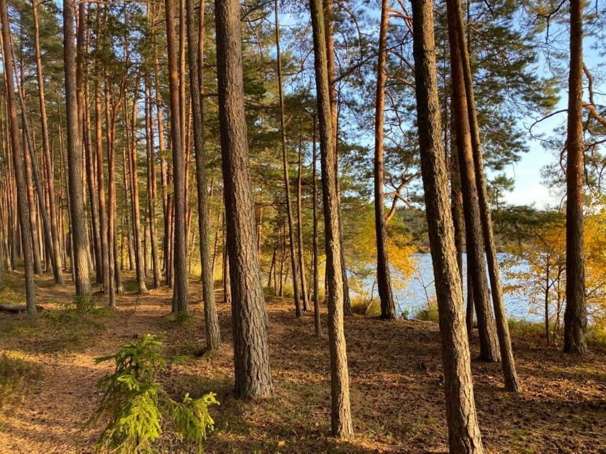 Kuelalistemaja Vehendi Motell Kültér fotó